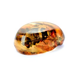 Сувенирный камень &quot;Жук&quot;, Янтарь полунатуральный с инклюзом