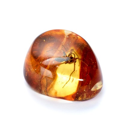 Сувенирный камень &quot;Паук&quot;, Янтарь полунатуральный с инклюзом купить