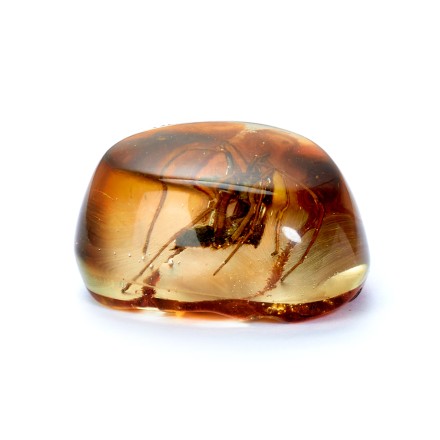 Сувенирный камень &quot;Паук&quot;, Янтарь полунатуральный с инклюзом купить